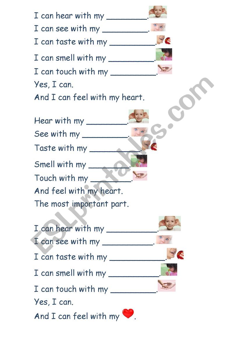 Body part and Sences worksheet