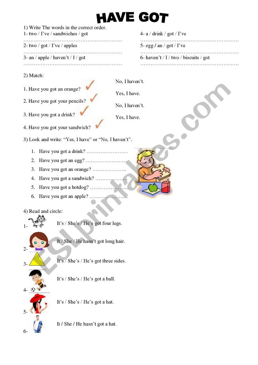 Have Got Elementary worksheet