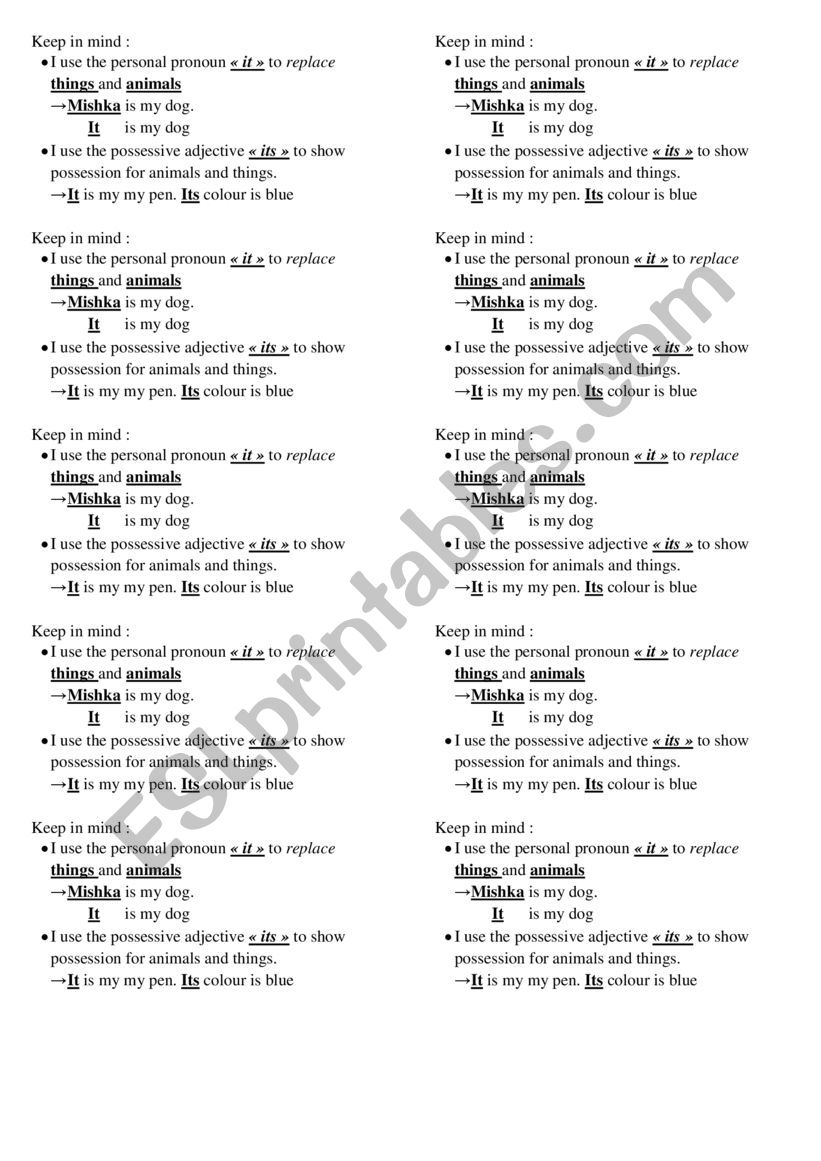 difference between it and its worksheet