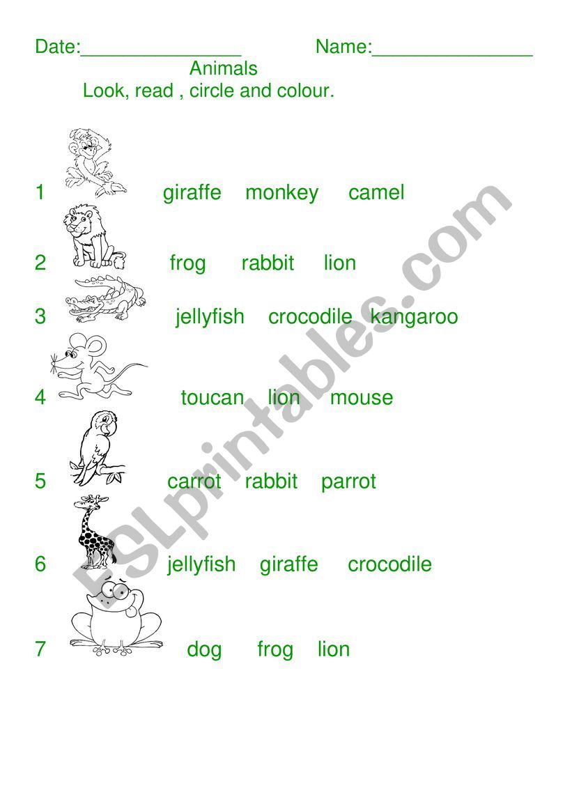 Animals names worksheet