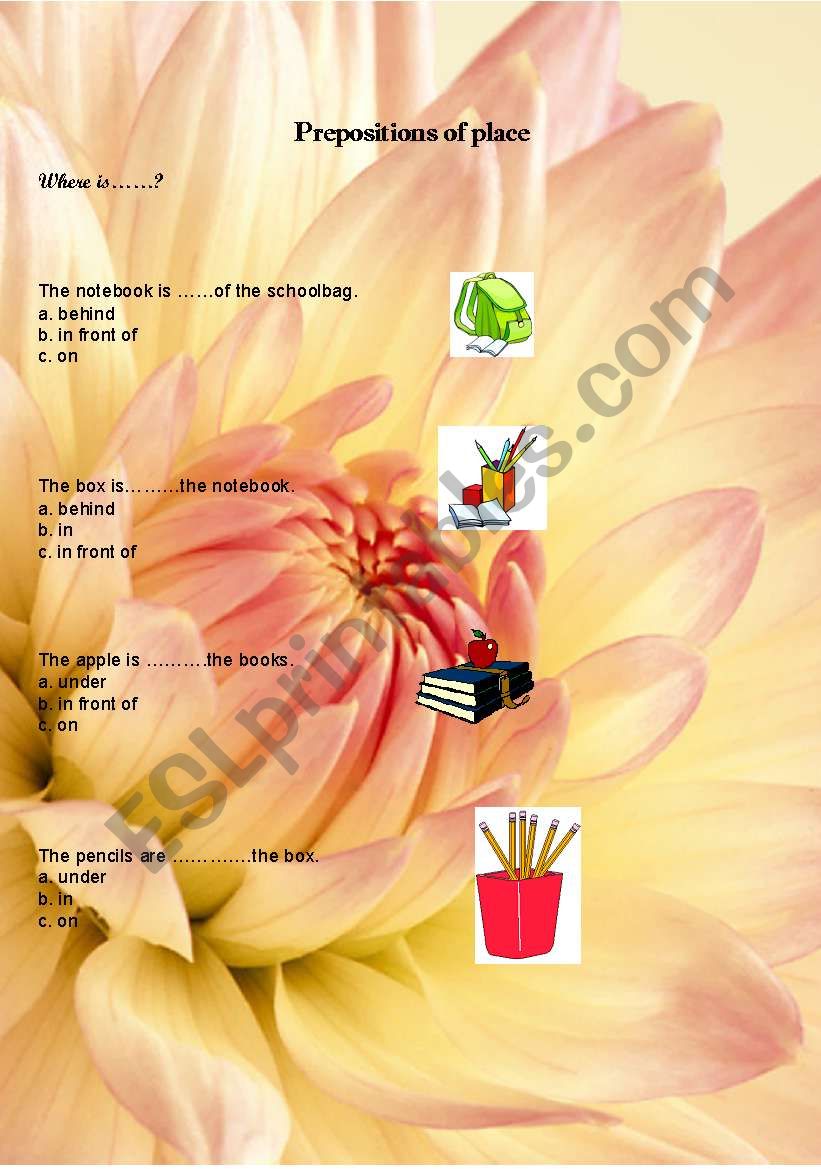 prepositions of place worksheet