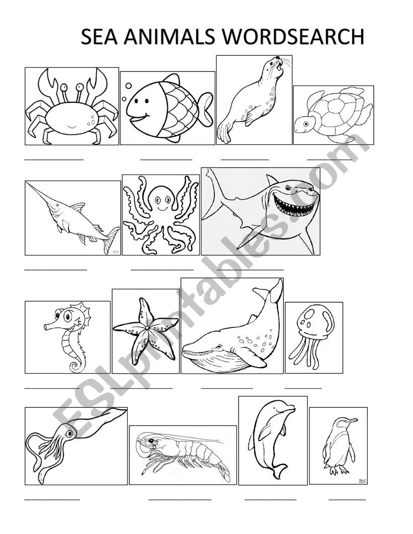 SEA ANIMALS worksheet