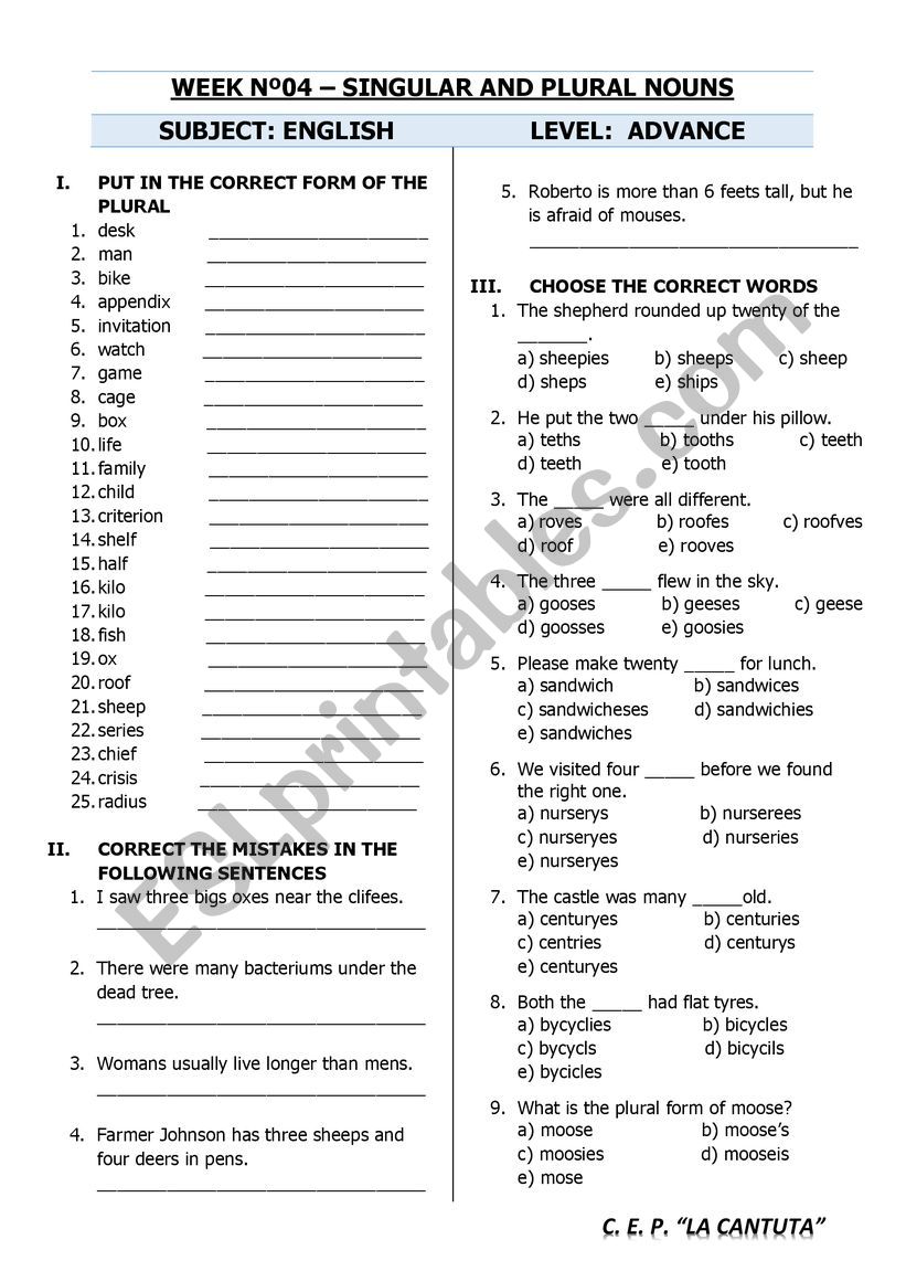 SINGULAR AND PLURAL NOUNS worksheet