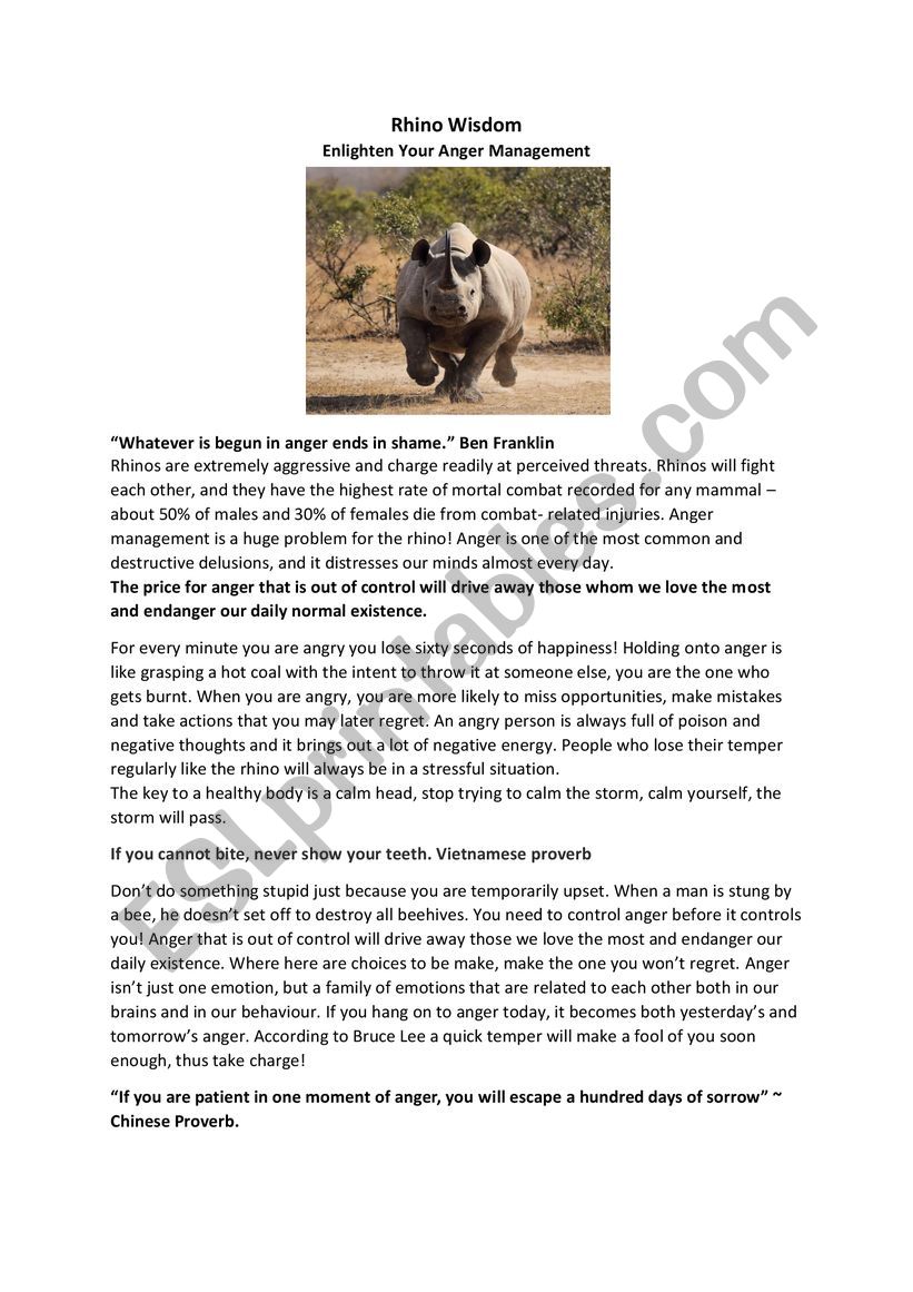 Rhino Wisdom: Enlighten Your Anger Management