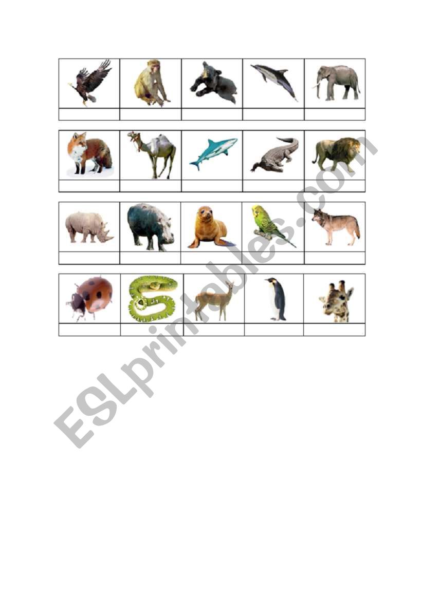 Pets and animals 2 worksheet
