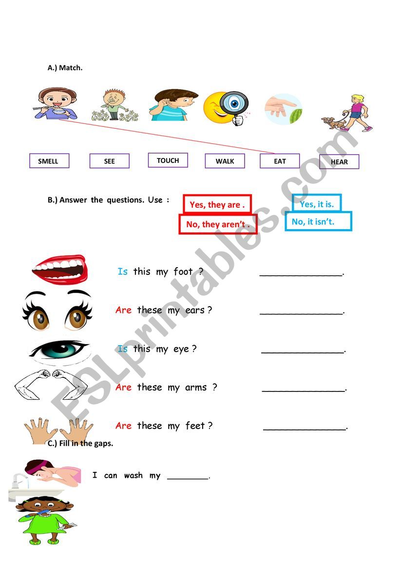 body parts worksheet