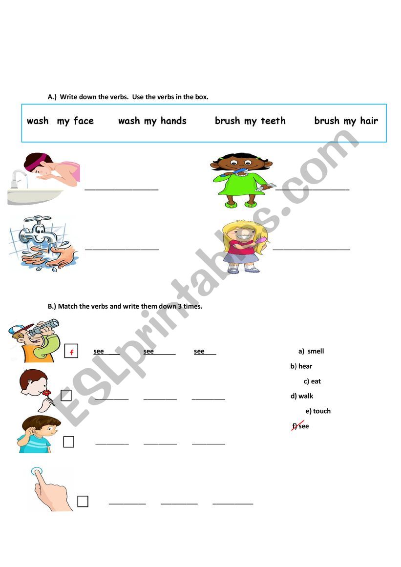 body parts worksheet