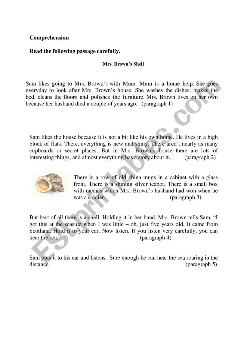 Reading Comprehension Mrs Brown´s Shell ESL worksheet by Sanlane