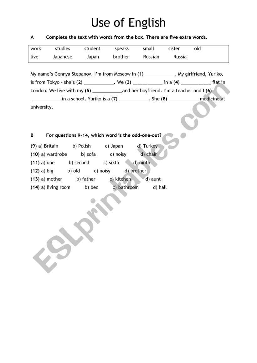 use of english  worksheet