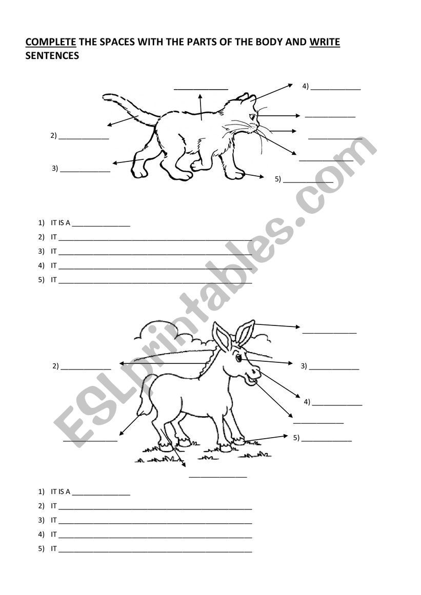 Parts of the body - Animals worksheet