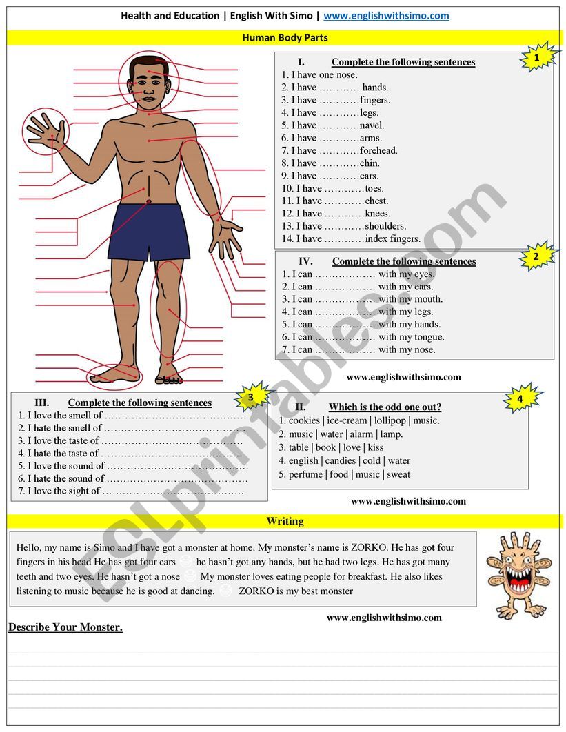 Human Body Parts worksheet