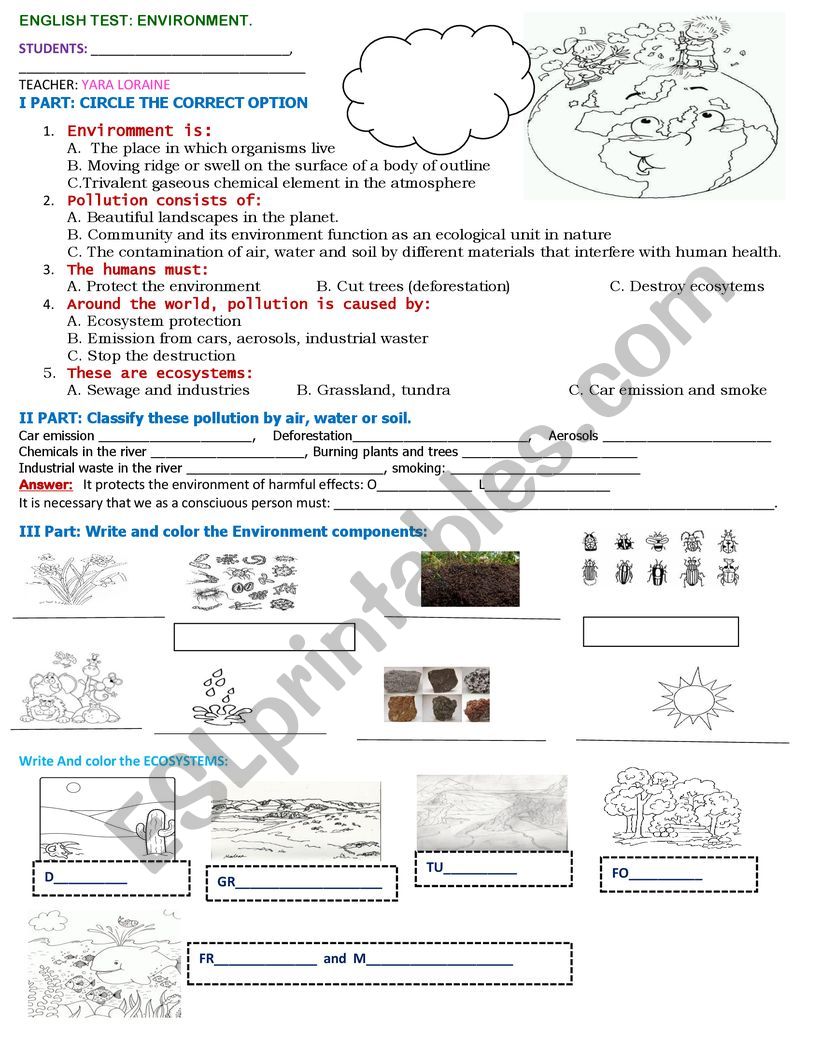 ENVIRONMENT EVALUATION  worksheet