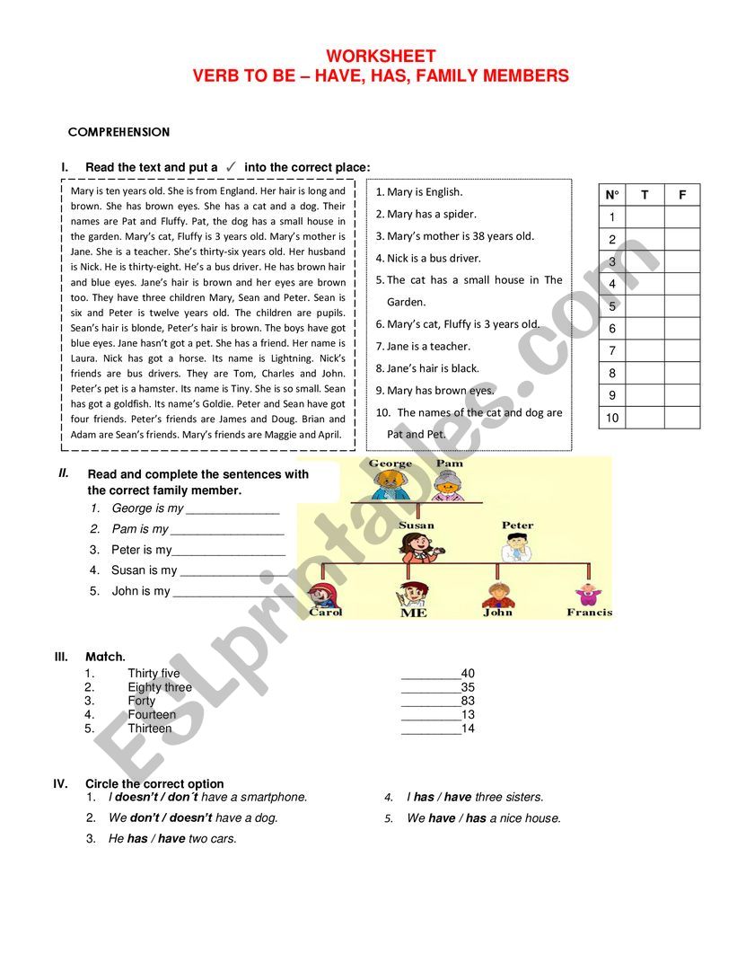 WORKSHEET VERB TO BE  HAVE, HAS, FAMILY MEMBERS