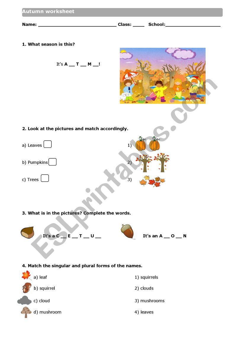 Autumn Season worksheet