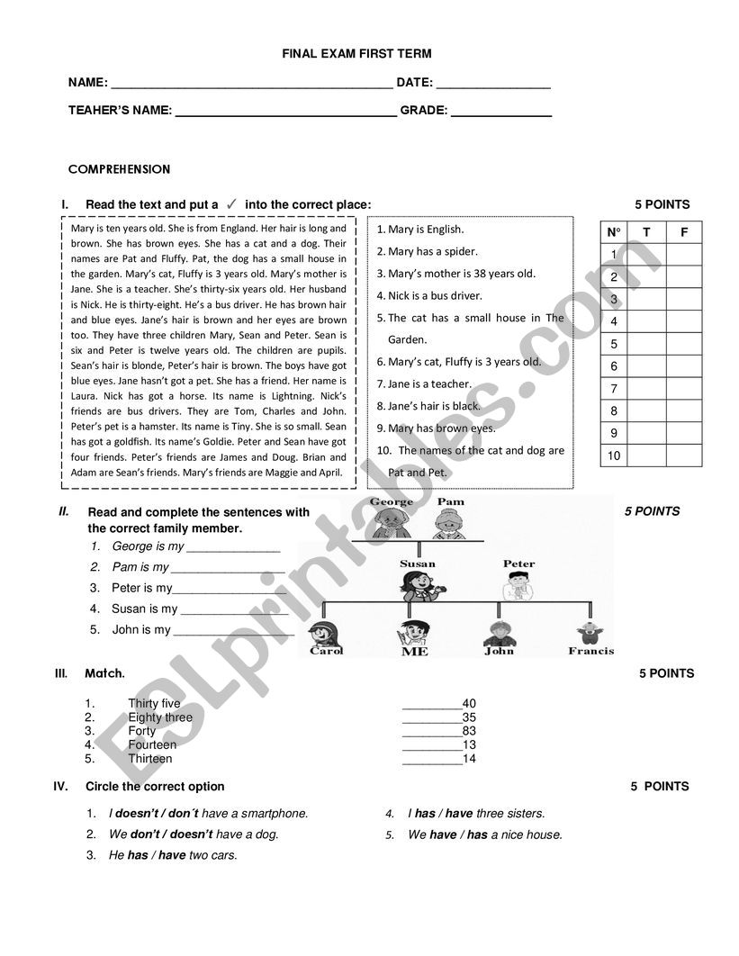 FINAL EXAM FIRST GRADE worksheet