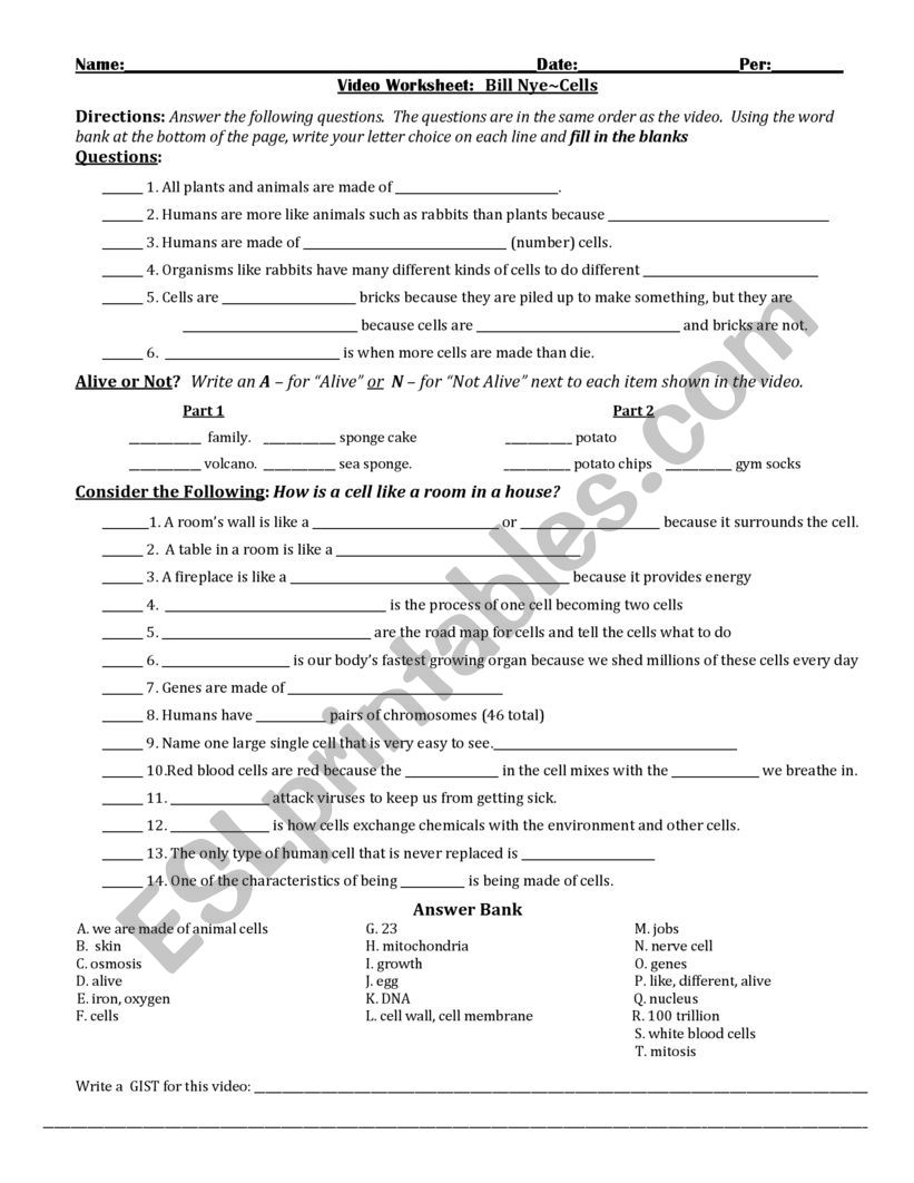 Bill Nye Cells ESL Worksheet By Gmelero