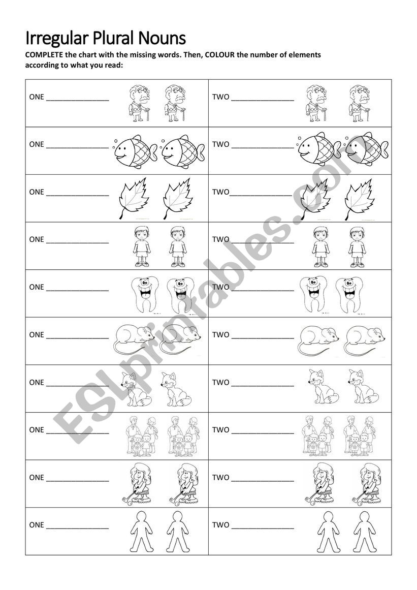 Irregular Plural Nouns worksheet