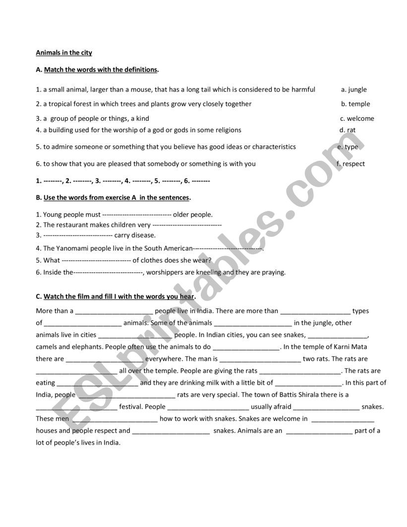 CITY ANIMALS worksheet