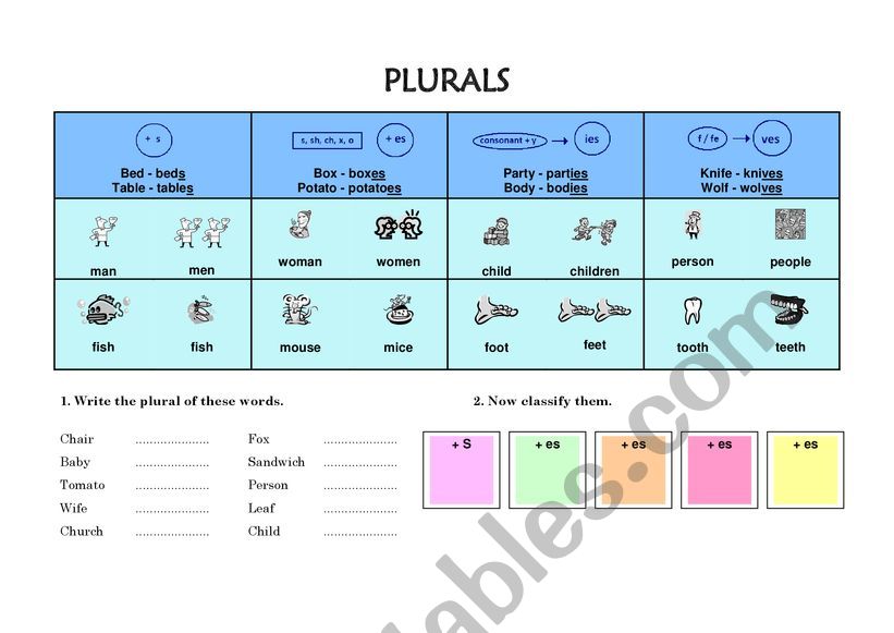 Worksheet Plurals worksheet