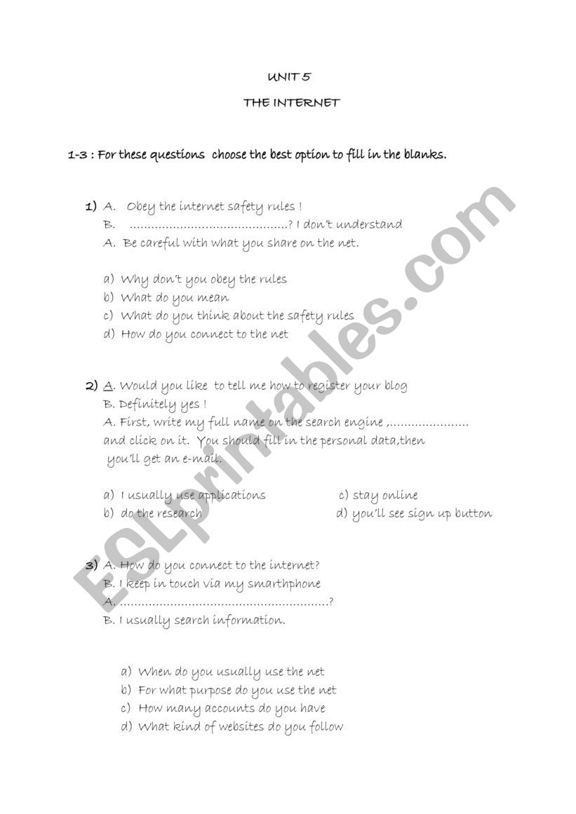 the internet worksheet