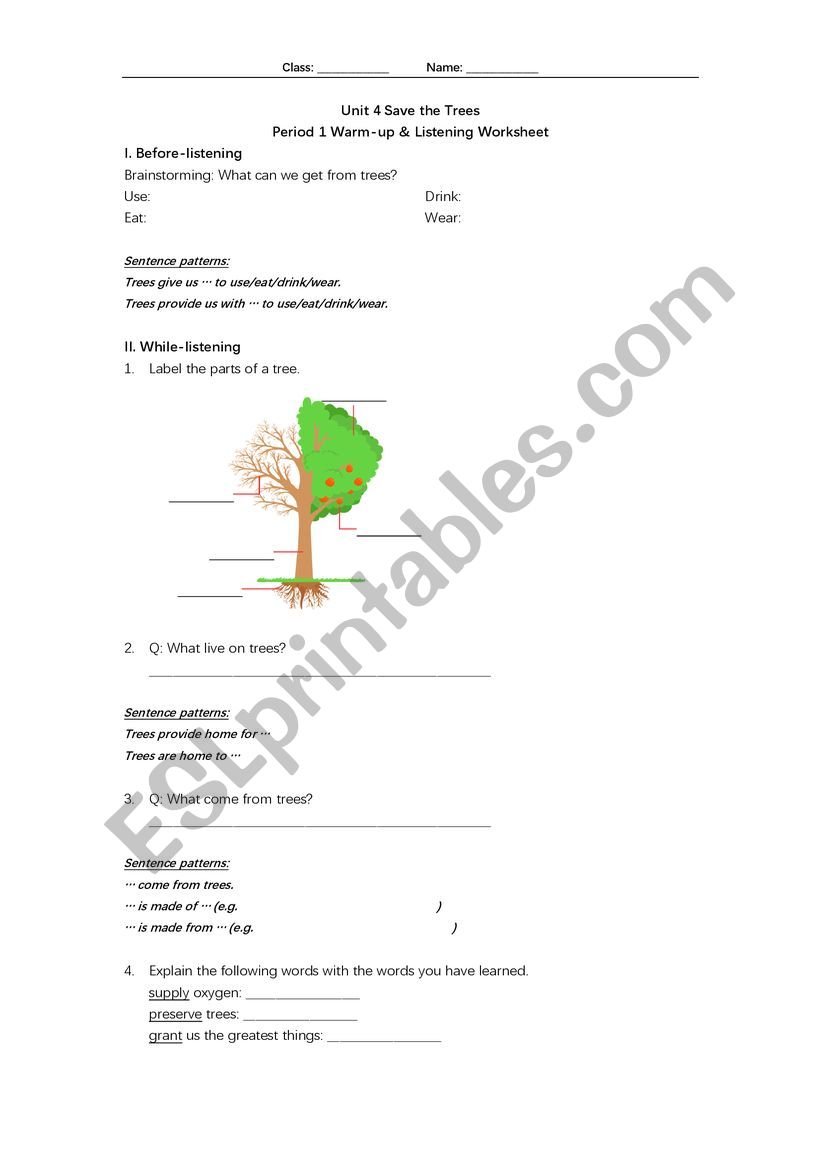 The importance of trees worksheet