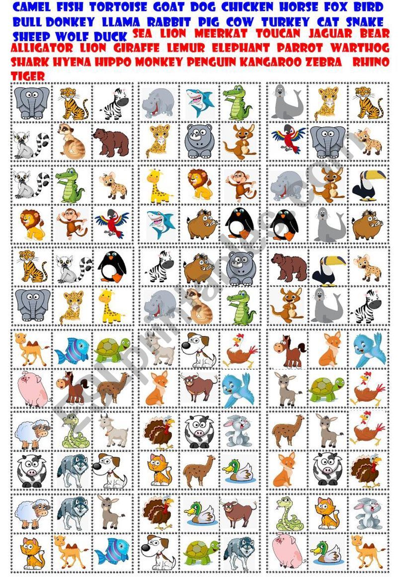 Bingo Animals worksheet