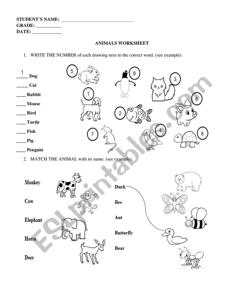 Animals worksheet