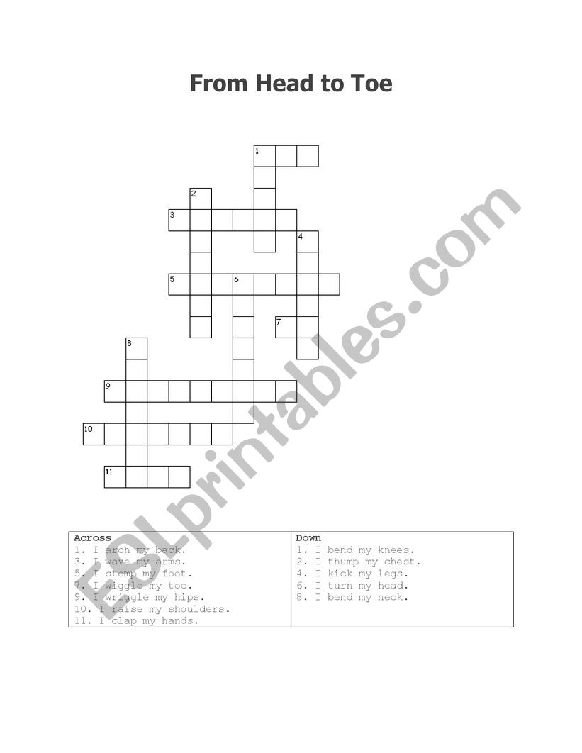 From Head to Toe Crossword worksheet