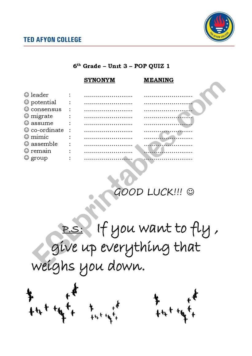 pop quiz worksheet