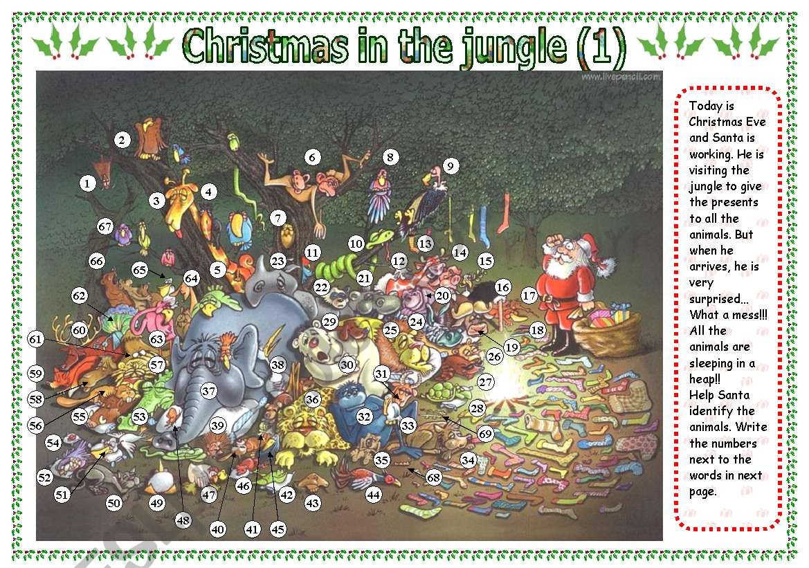 Christmas in the jungle (part 1): Animals (18.08.08)