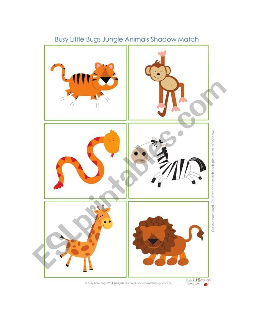 animals worksheet