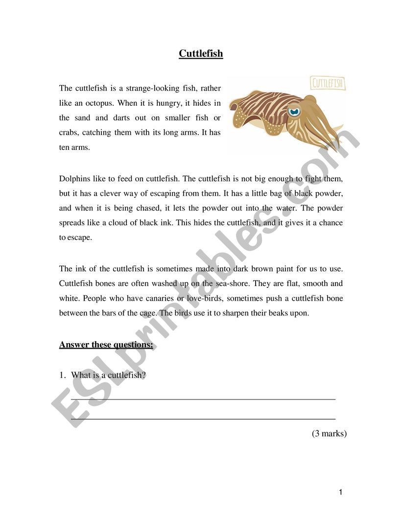Reading Comprehension - The Cuttlefish