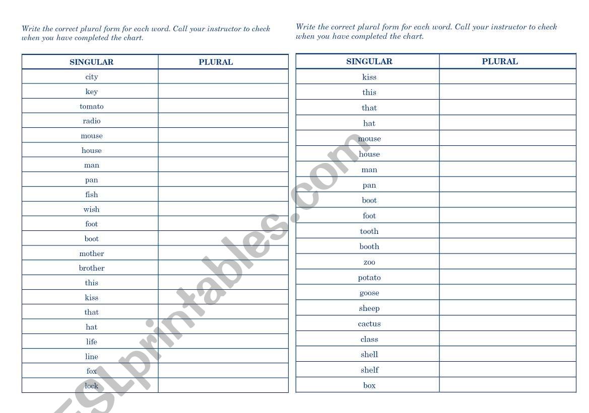 plural of nouns worksheet