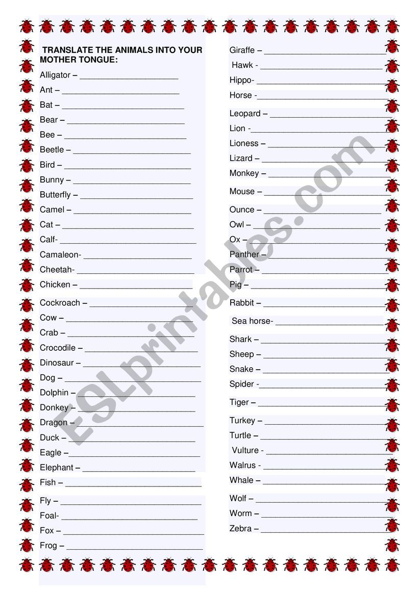 Animals Translation worksheet