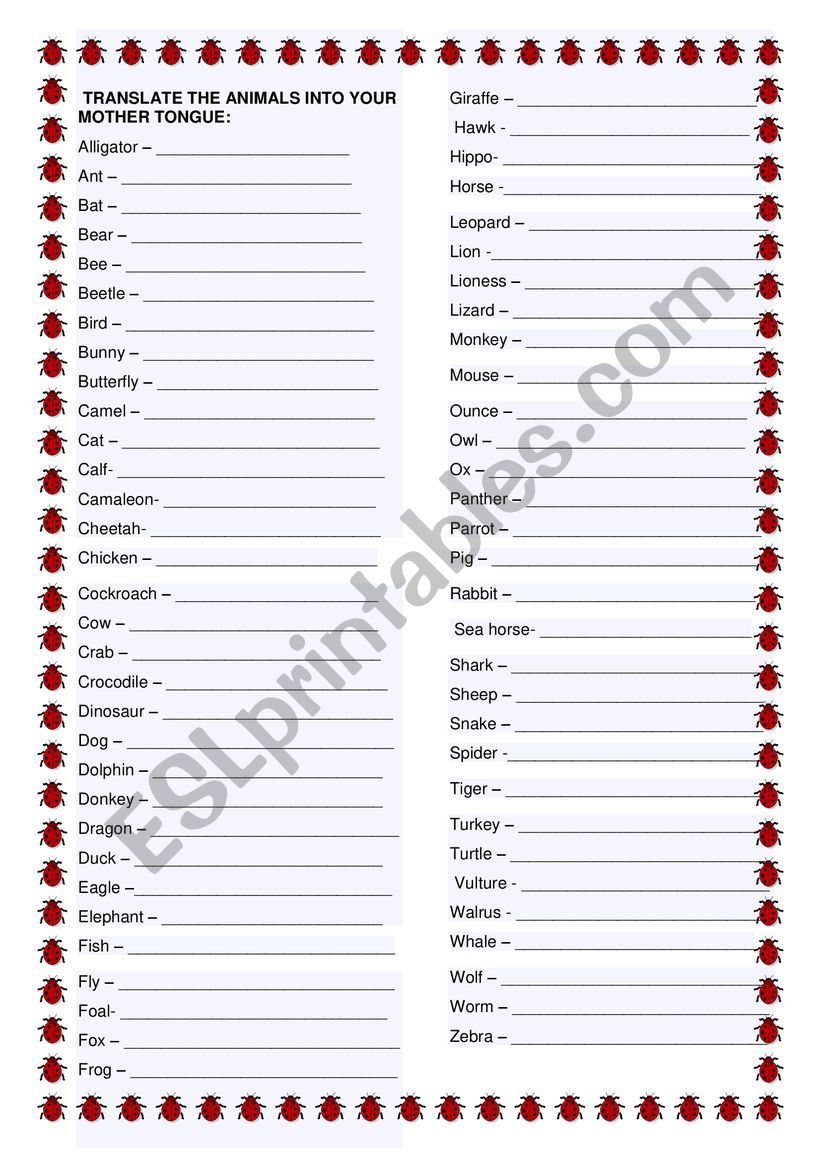 Animals Translation worksheet