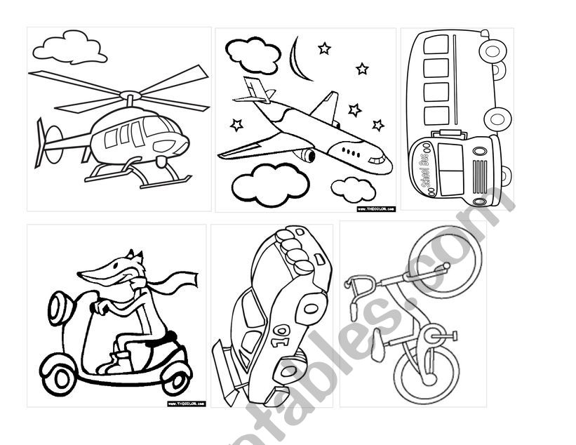 MEANS OF TRANSPORTATION  worksheet