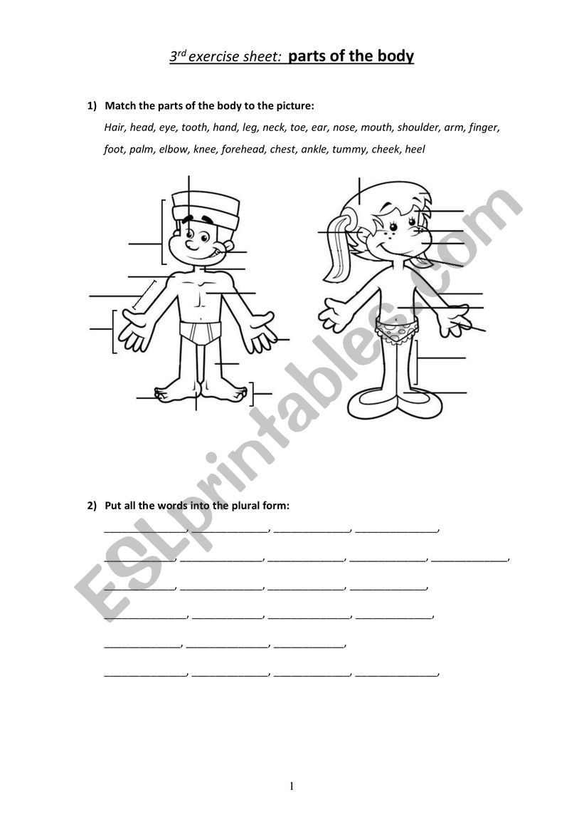 Parts of the body worksheet