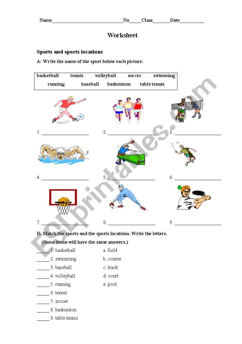 Sports and sports locations worksheet