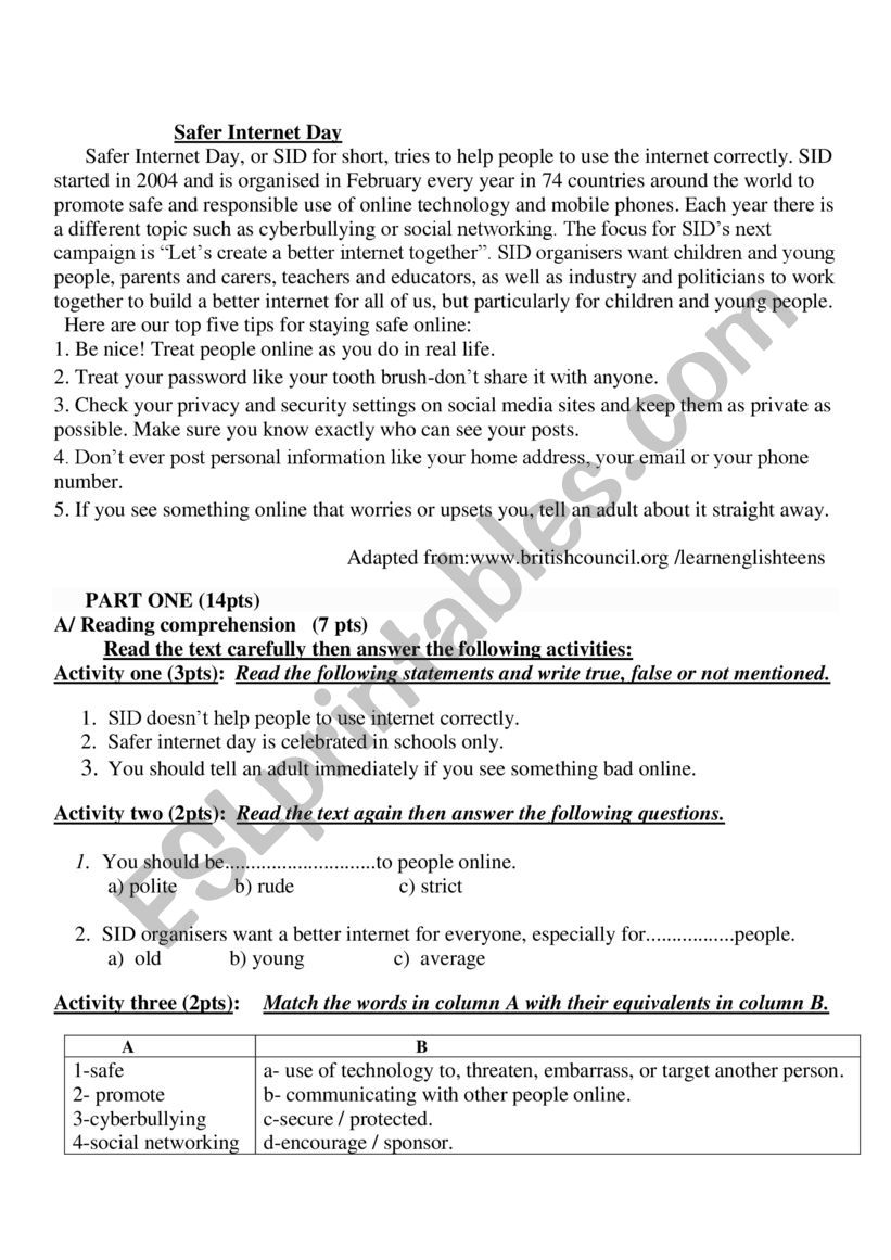       Safer Internet Day worksheet