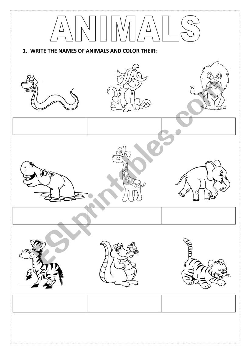 Wild Animals worksheet