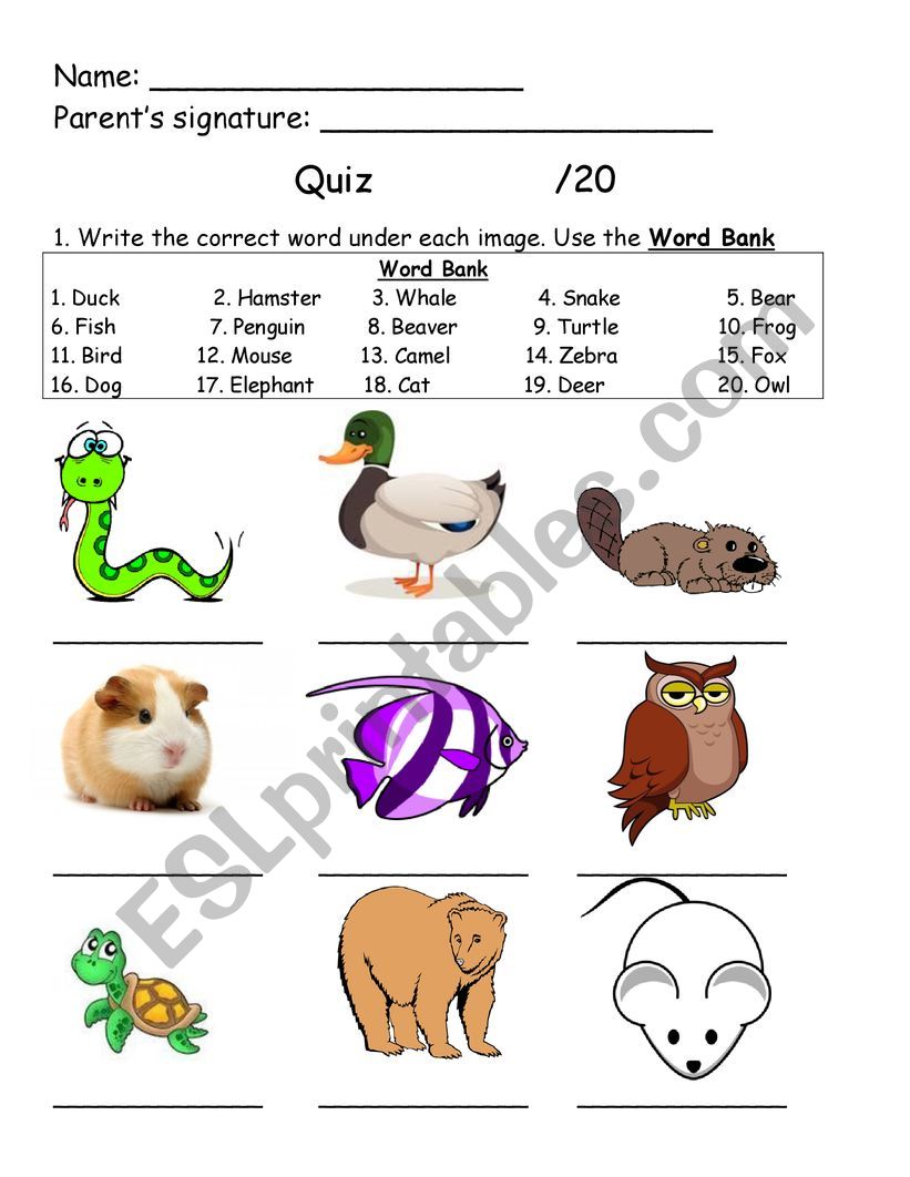 Animal quiz worksheet