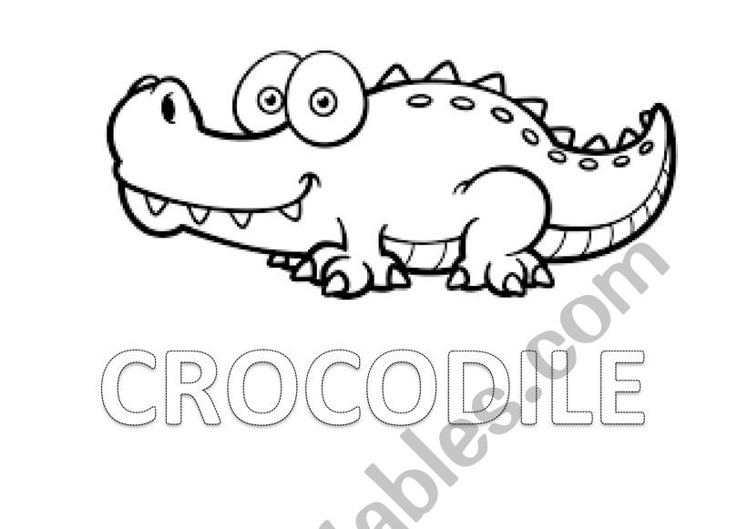 crocodile worksheet