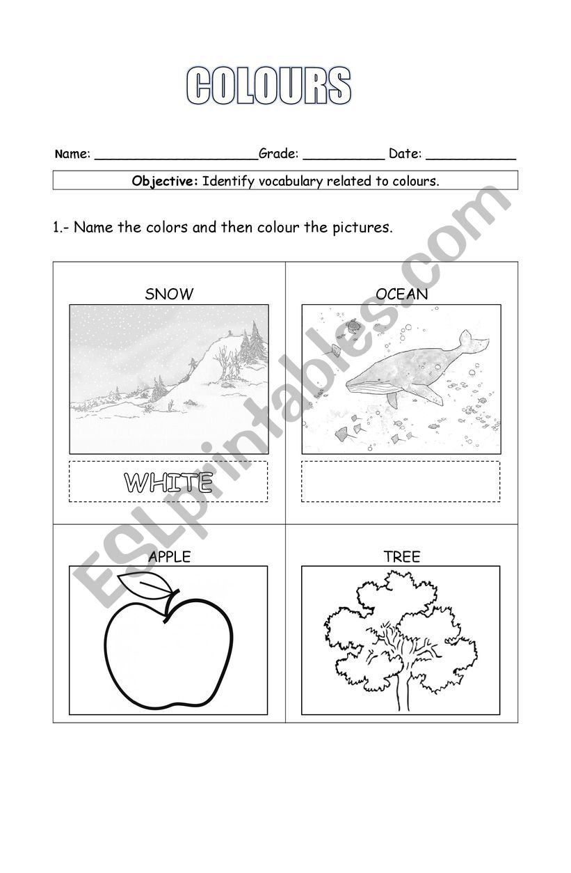 Colours worksheet