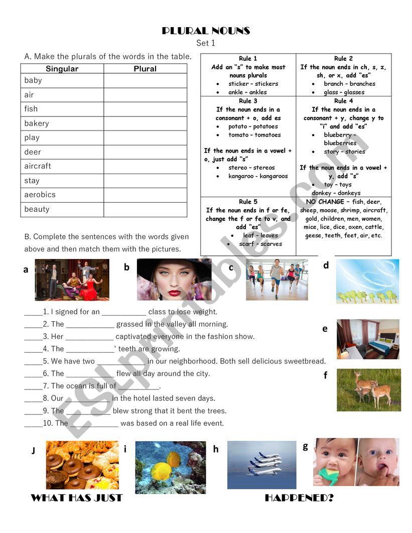 Plural Nouns worksheet