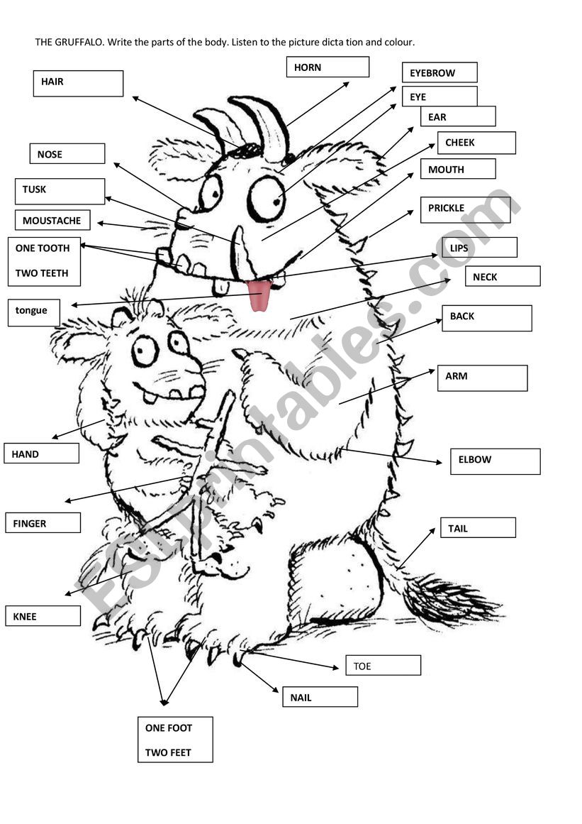 Answer key of gruffalo parts of the body+ story comprehension questions