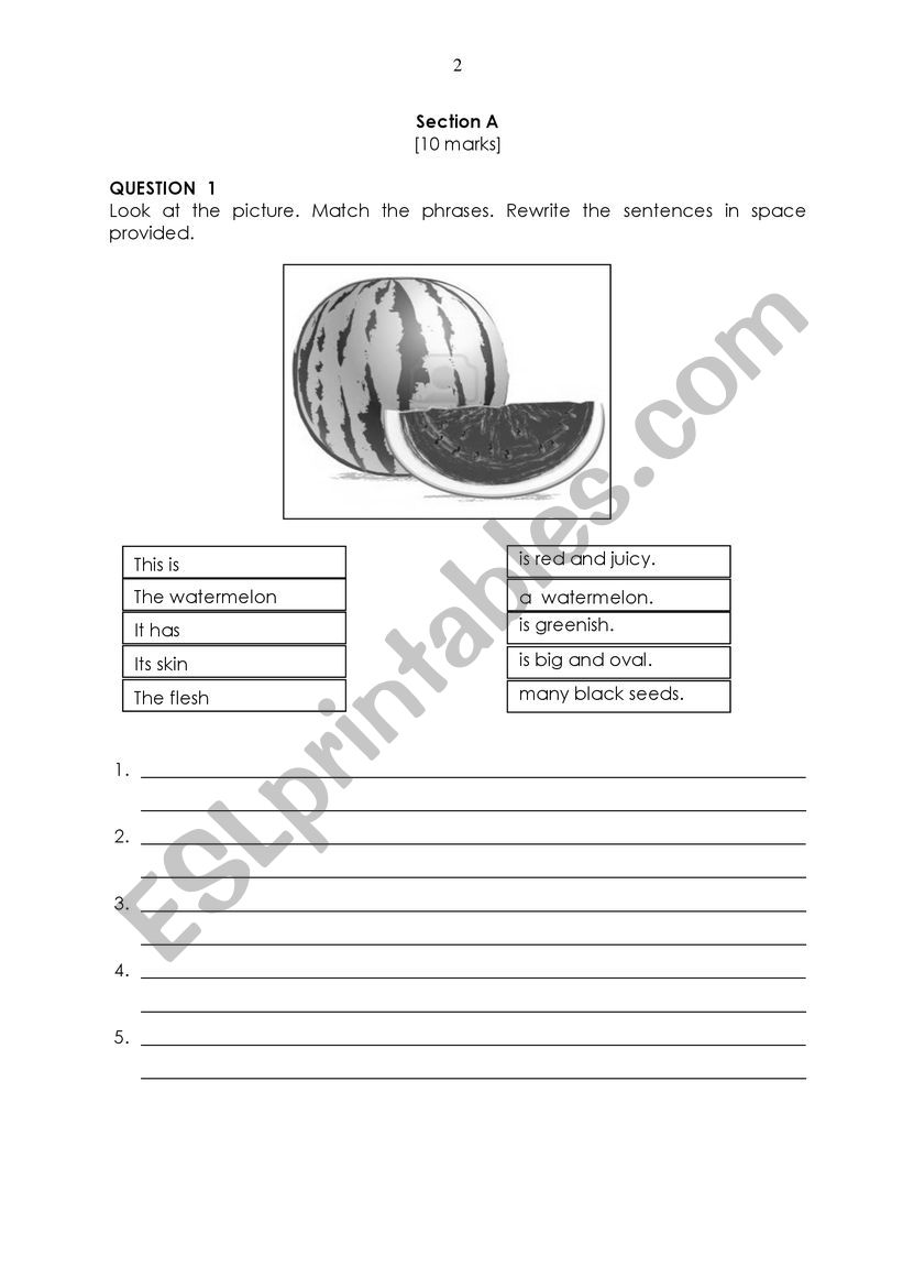 Developing Writing skills 1 worksheet