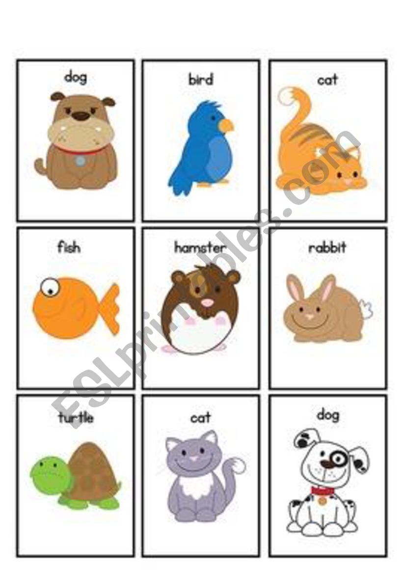 Pets flashcards worksheet