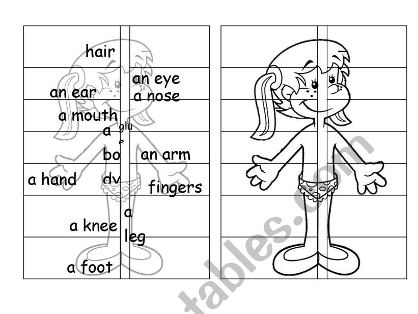 Parts of body for a lapbook worksheet
