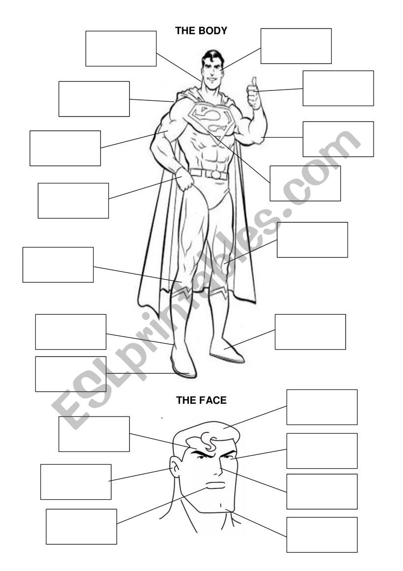 Physical description with Superman!