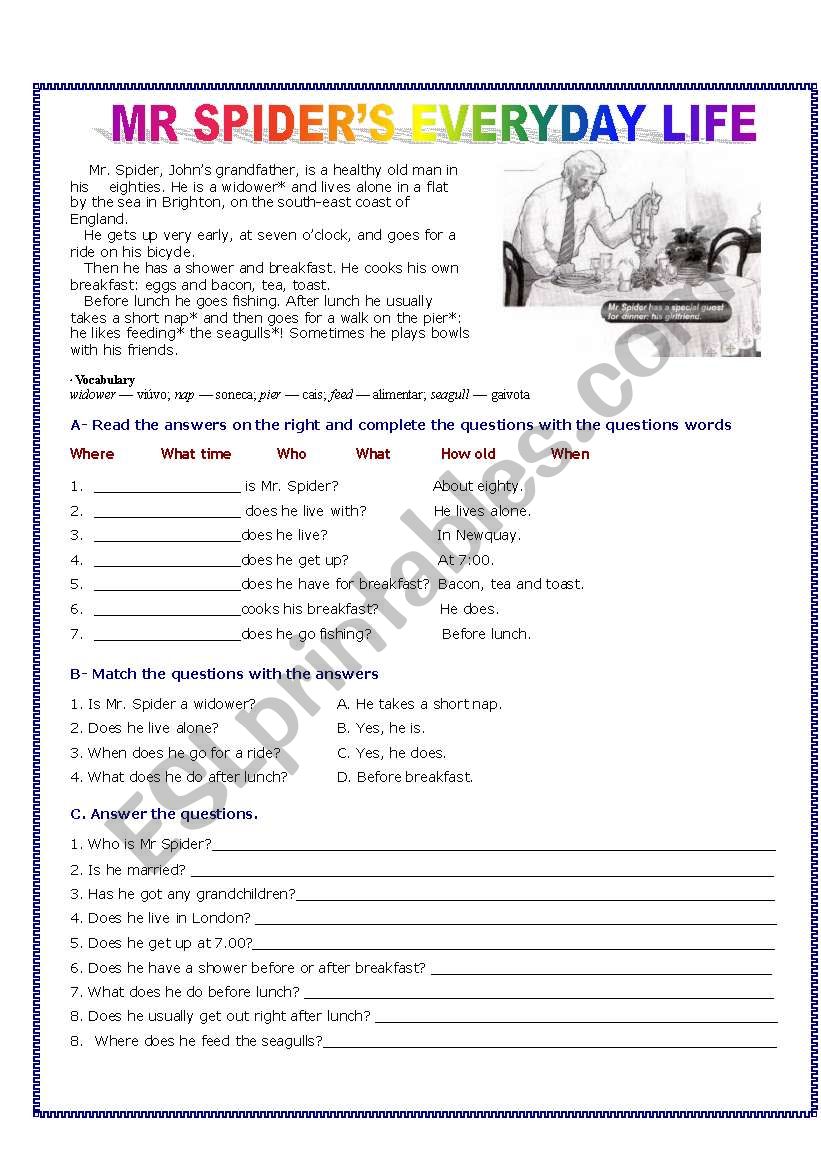 Mr Spiders everyday life worksheet